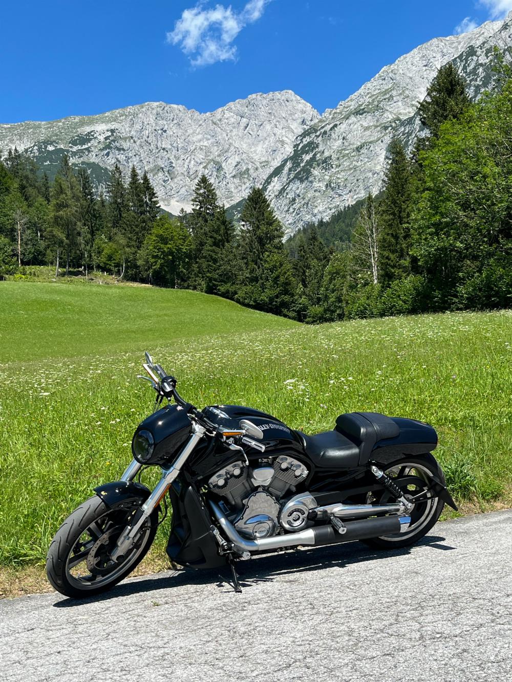 Motorrad verkaufen Harley-Davidson VRSCF Muscle Rod Ankauf